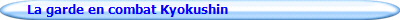 Le Kyokushin FKOK � la F�d�ration Fran�aise (FFK)